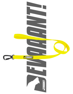Canicross Bungee Leash Proteam
