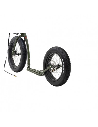 Kostka monster max dog