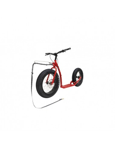 footbike kostka raptor max dog g6