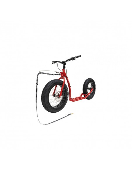 footbike kostka raptor max dog g6