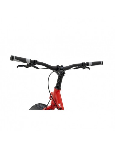 kostka raptor max dog g6