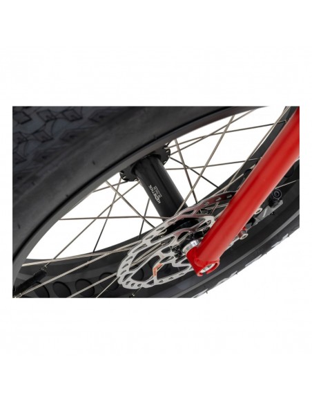 kostka raptor max dog