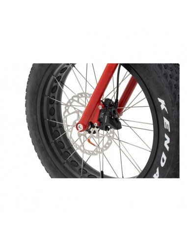 kostka raptor max dog