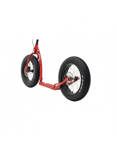 cani trottinette kostka raptor max dog g6
