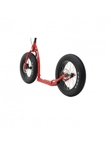 cani trottinette kostka raptor max dog g6