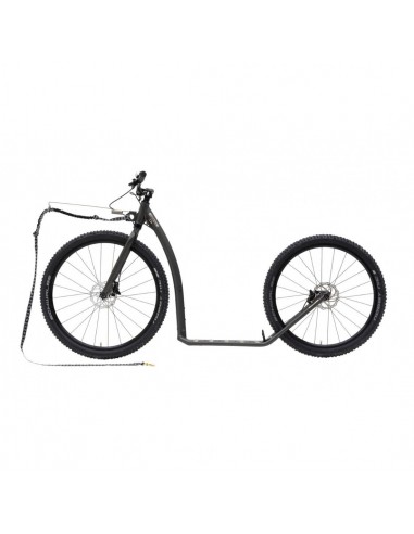 Canitrottinette Kostka Trip Max Dog G7 grise