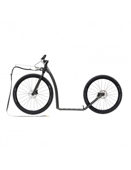 Canitrottinette Kostka Trip Max Dog G7 grise