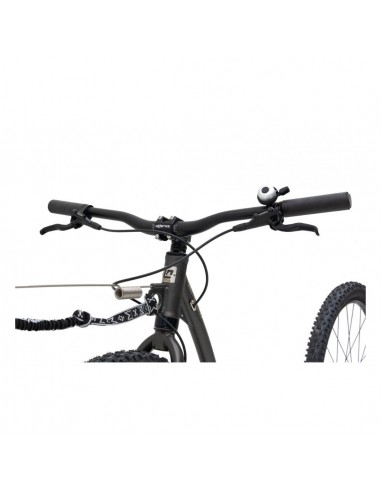 Canitrottinette Trip Max Dog G7 grise