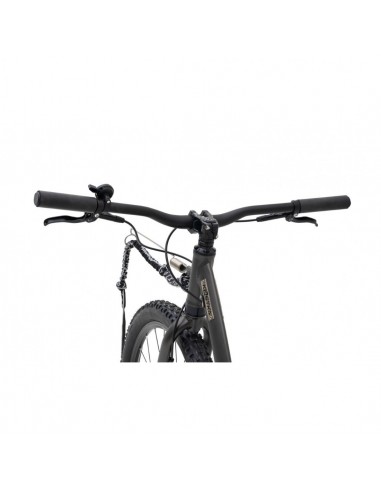 Canitrottinette grise