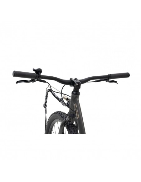 Canitrottinette grise