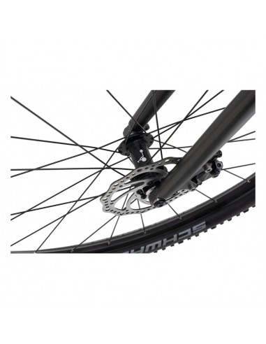 footbike Kostka trip