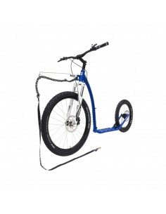 canitrottinette kostka mushing max g6 2