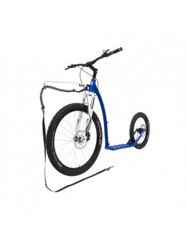 canitrotinette kostka mushing max g6