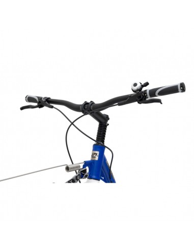 canitrottinette mushing max g6