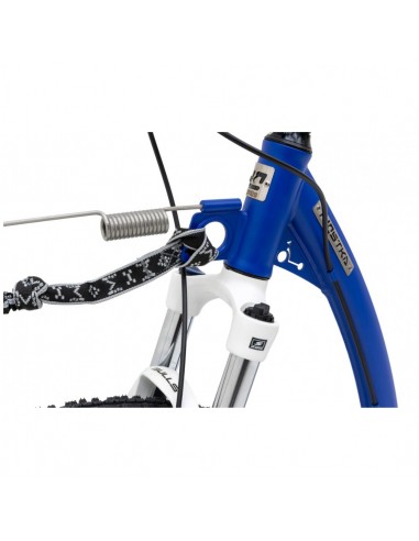 footbike kostka mushing max g6