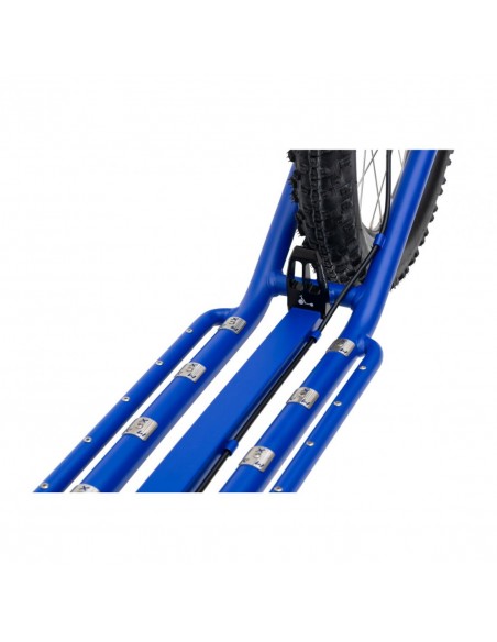 canitrottinette bleu