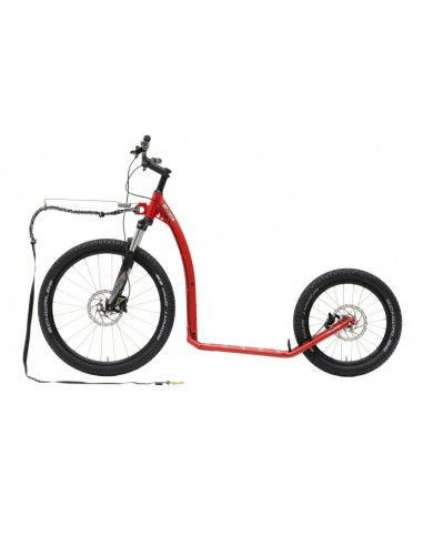 canitrottinette kostka mushing max g6 red