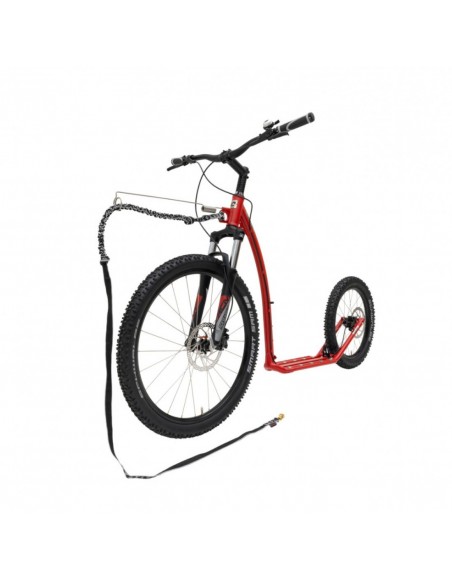 canitrottinette mushing max g6 red