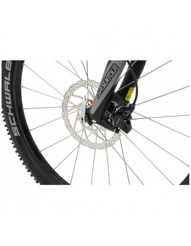 canitrottinette mushing max g6 rouge