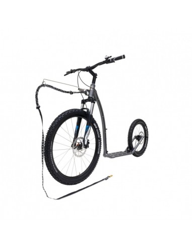 canitrottinette kostka mushing max g6 gris