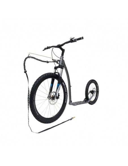 canitrottinette kostka mushing max g6 gris