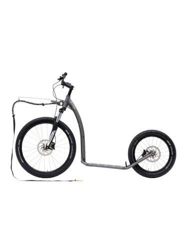 canitrottinette kostka mushing max g6 silver