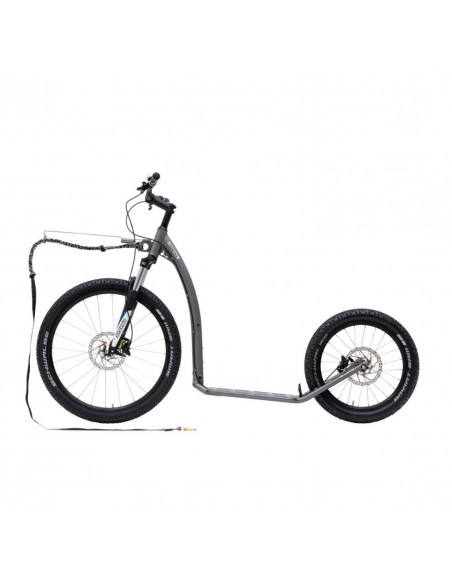 canitrottinette kostka mushing max g6 silver