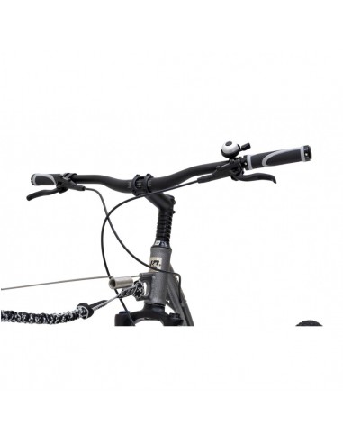 canitrottinette kostka mushing max g6 argent