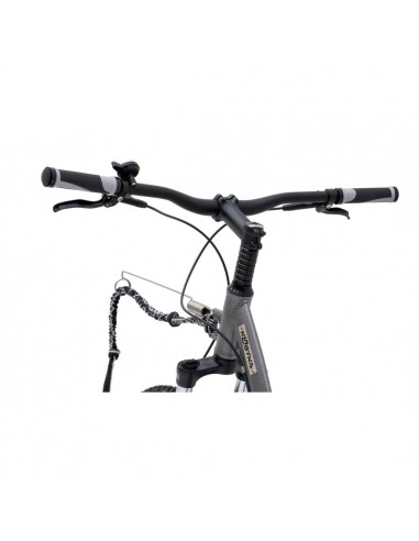 canitrotinette kostka mushing max g6 silver