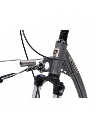 canitrottinette mushing max g6 silver