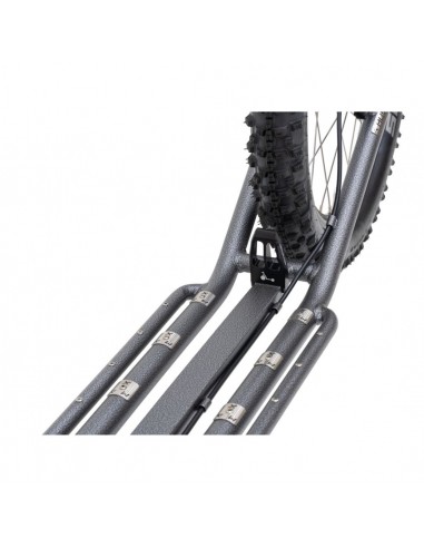 canitrottinette mushing silver