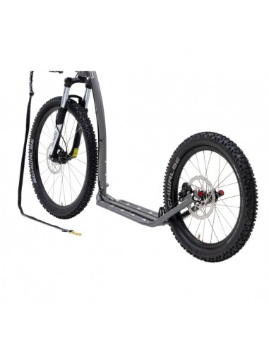 canitrottinette kostka silver