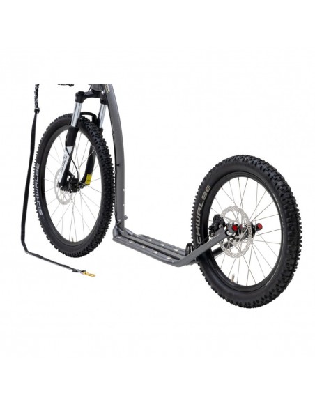 canitrottinette kostka silver