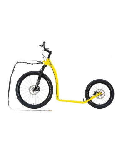 canitrottinette kostka mushing max g6 neon lemon