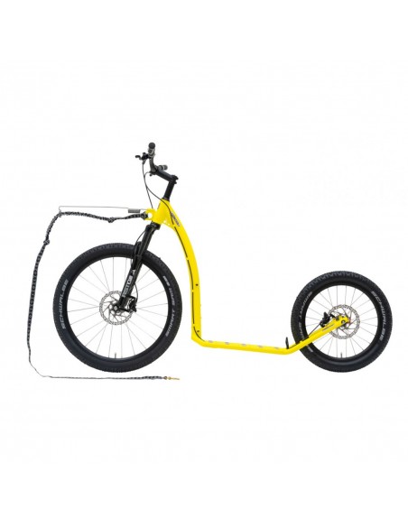 canitrottinette kostka mushing max g6 neon lemon