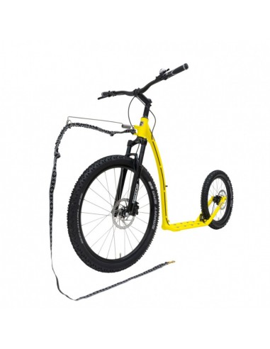 canitrottinette kostka mushing max g6 lemon