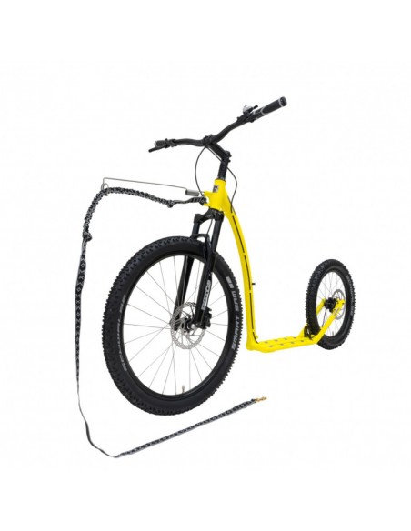 canitrottinette kostka mushing max g6 lemon