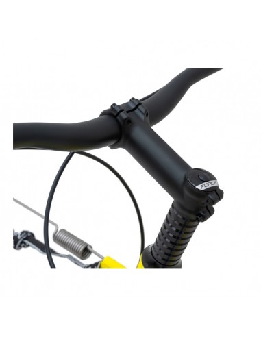 canitrotinette kostka mushing max g6 jaune