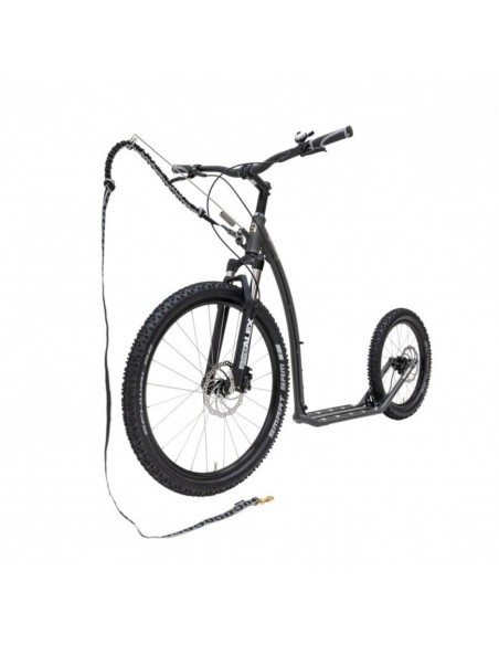 canitrotinette kostka mushing max g6 magic grey