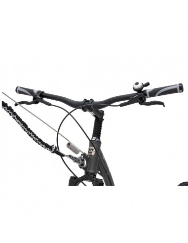 canitrottinette mushing max g6 magic grey