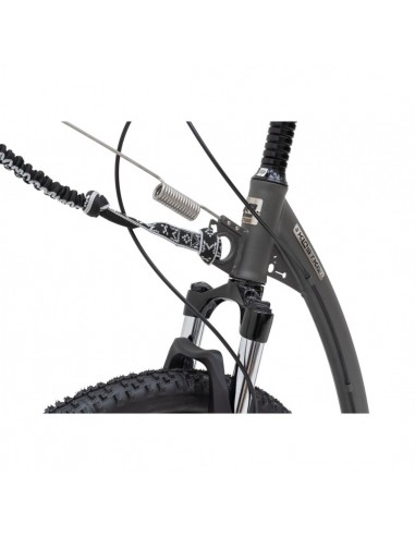 canitrottinette kostka mushing max g6 grise