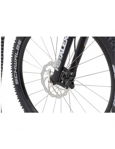 canitrottinette mushing max g6 grise