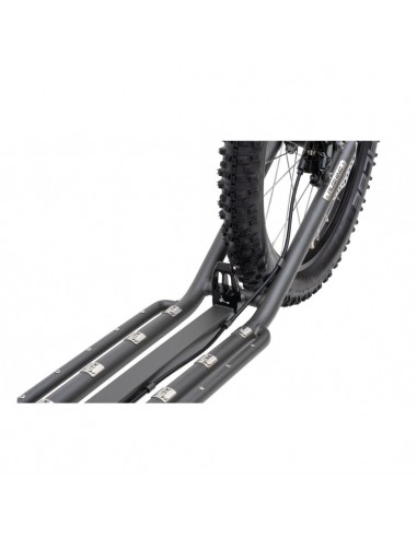 footbike kostka mushing max g6 grise