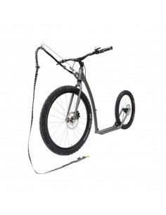 canitrottinette kostka mushing racer max g6 antic silver 2