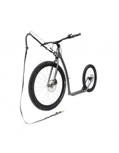 canitrottinette kostka mushing racer max g6