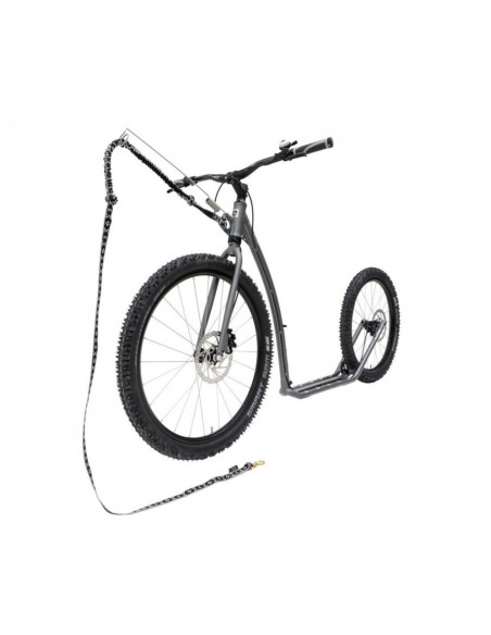 canitrottinette kostka mushing racer max g6