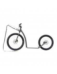 canitrottinette kostka mushing racer max g6 antic silver