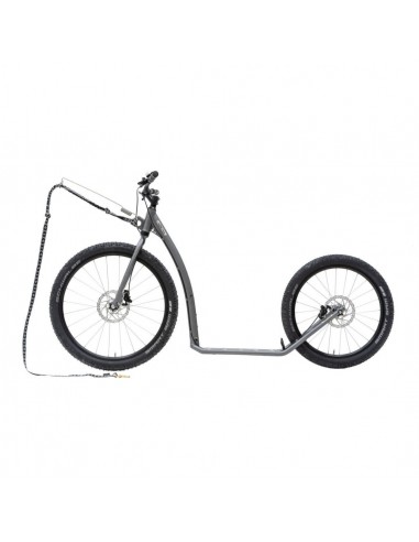 canitrottinette kostka mushing racer max g6 antic silver