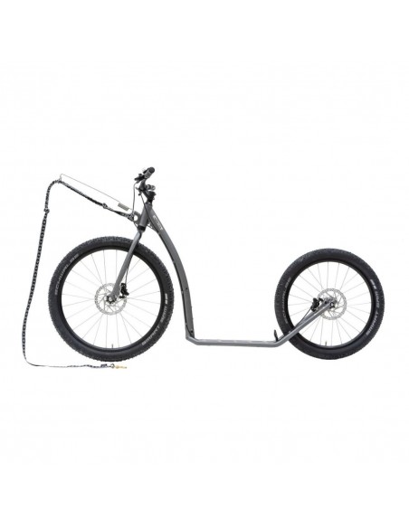 canitrottinette kostka mushing racer max g6 antic silver