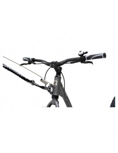 kostka mushing racer max g6